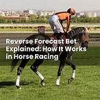 horse racing forecast bet